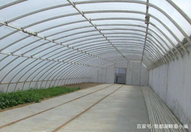 建一個(gè)一畝地的蔬菜大棚需要多少錢？
